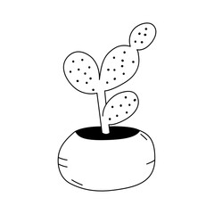 Vector illustration of a Opuntia in the doodle style. Isolate on a white
