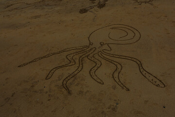 Capture the infinite beauty of the ocean with our seascape photographs, perfect for transforming any space with the serenity and majesty of the sea.