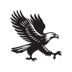 eagle vector  illustration