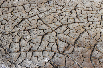 Earth’s Cracked Canvas: The Silent Symphony of Drought