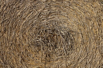 Hay Bale Roll on the farm 