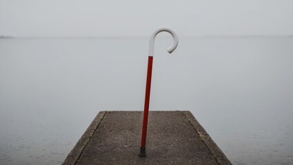 Cane on a background of paving stones - International White Cane Day