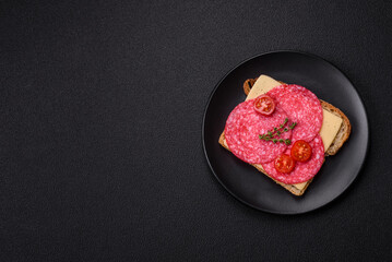 Sandwich with toast, salami slices, cheese and tomatoes, salt and spices