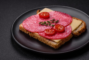 Sandwich with toast, salami slices, cheese and tomatoes, salt and spices