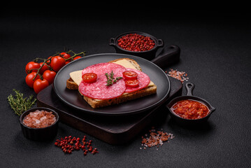 Sandwich with toast, salami slices, cheese and tomatoes, salt and spices
