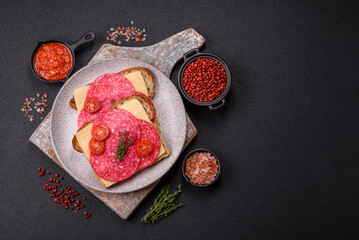 Sandwich with toast, salami slices, cheese and tomatoes, salt and spices