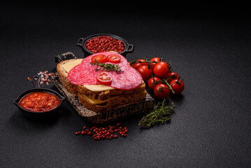 Sandwich with toast, salami slices, cheese and tomatoes, salt and spices