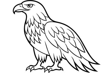 Fototapeta premium eagle on a white background