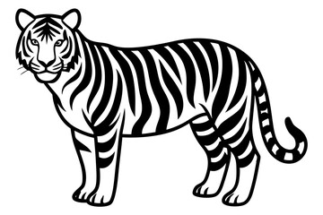 tiger vector illustration