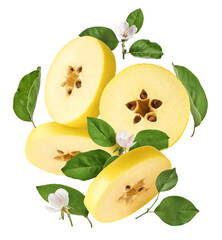 Fresh ripe yellow Quince fruit  falling in the air isolated on white background. Food levitation or...