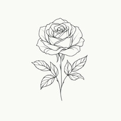 Elegant Line Art Rose Illustration