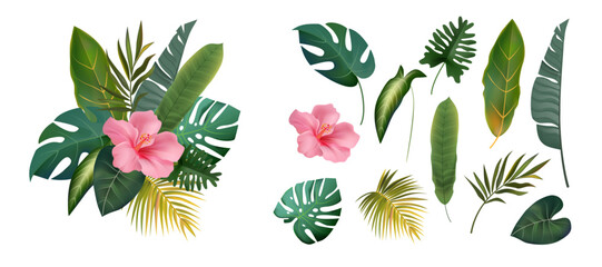 Jungle leaf. Exotic banana palm, green monstera or old fern botanical composition, label design. Elegant summer philodendron, hibiscus flower. Hawaii isolated realistic vector background © SpicyTruffel