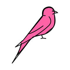 swift bird line icon vector. swift bird sign. isolated symbol illustration