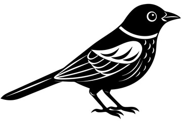 bird silhouette vector illustration