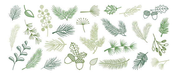 Christmas pine and fir, winter leaf spruce and branch tree, evergreen plant, berry, acorn, green cedar twig icon, Xmas wood, holiday decoration line art. New Year hand drawn vector illustration © Sylfida