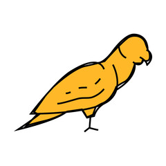 parrot bird line icon vector. parrot bird sign. isolated symbol illustration