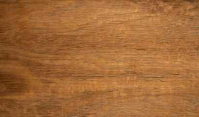 The texture of the wooden countertop.A photo of an old board.The texture of an old oak tree.