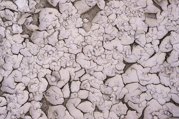 Cracked soil dried out during the dry season. Formation of cracks in the soil after strong moisture, rupture of soil layers.
