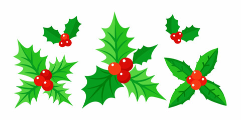 Set Christmas Holly with Red Berries and Green Leaves, Evergreen Pine Needles, Isolated on White Background