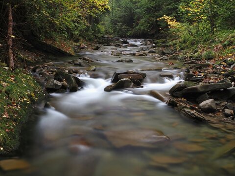Dolina Zimnika - Beskid Śląski 
G&oacute;rski potok z kaskadami