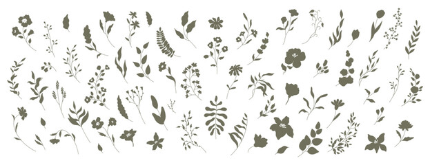 Set of Silhouettes of Flowers, Branches and Leaves. Hand drawn elegant vector botanical elements