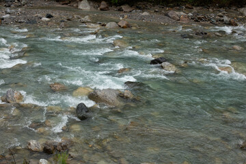 Rapid flowing mountain river through forest in summer.