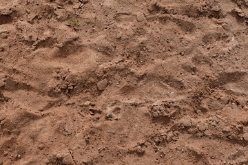 Background of beige, brown beach sand with natural pattern background. top view, flat lay. copy space, close up