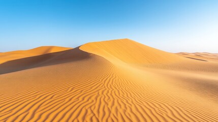 A vast expanse of golden sand dunes stretches out under a clear blue sky. The sand is smooth and rippled, with the dunes rising up in the distance.