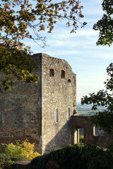 Burgruine Donaustauf 