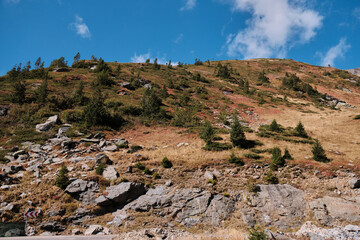 Stunning panoramic view of a rocky mountainside with lush vegetation and a clear blue sky. Perfect for nature, travel, and landscape projects. Făgăraș Mountains, Romania