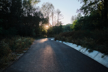 A scenic road winds through a lush forest, bathed in the golden glow of the setting sun. The sunlight illuminates the asphalt, creating a sense of tranquility and wonder.