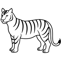 tiger vector line art