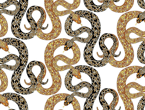 Seamless pattern of python snakes on a transparent background, for textiles, wallpaper, packaging.