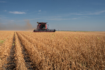 Obraz premium Harvesting combine in the wheat.