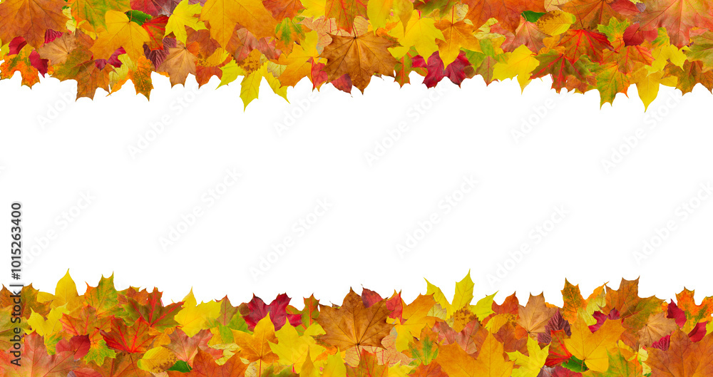 Poster a row of yellow leaves with a white background. the leaves are scattered and overlapping, creating a