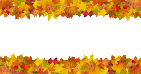 A row of yellow leaves with a white background. The leaves are scattered and overlapping, creating a sense of depth and movement. Scene is peaceful and serene, as the leaves seem to be gently falling