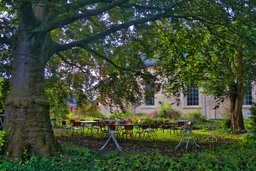 Empty wooden office chairs and tables in a garden for an informal social gathering in the shade of...