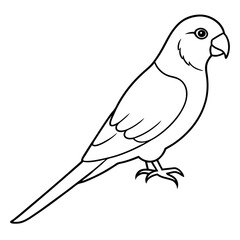 illustration of a bird