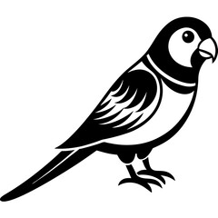 bird