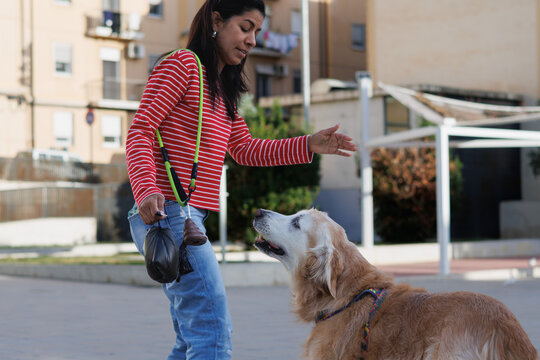Recogiendo la caca del perro en el parque, Alcoy, Espa&ntilde;a