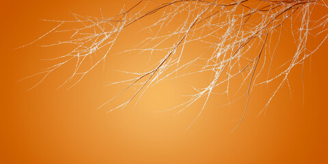 abstract autumn background