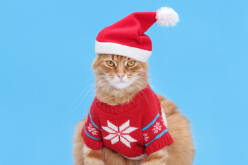 Ginger cat wearing Santa hat and sweater, sitting against a snowflake-filled background. Christmas theme. Perfect for holiday designs. Santa Claus, Christmas, cat, festive scene, snowflakes, greeting.