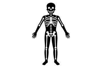 human skeleton in black and white