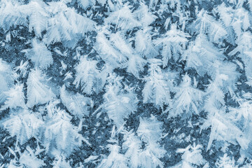 Big fluffy snowflakes on the surface of the ice. Winter and Christmas background