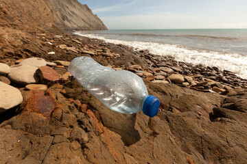 Used plastic water bottle washed up on the shore of a beach, highlighting the worldwide crisis of plastic pollution on even the most remote islands