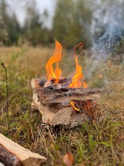 Campfire