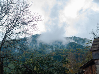 Misty fall Carpathian Mountains fog landscape. Village in Transcarpathia region Lush foliage Foggy spruce pine trees forest scenic view Ukraine, Europe. Autumn countryside Eco Local tourism