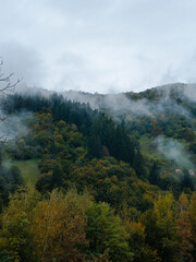 Misty fall Carpathian Mountains fog landscape. Village in Transcarpathia region Lush foliage Foggy spruce pine trees forest scenic view Ukraine, Europe. Autumn countryside Eco Local tourism