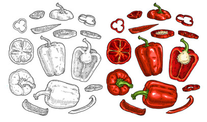 Whole and half sweet bell pepper with flying different slices. Vintage vector engraving color illustration. Isolated on white background. Hand drawn design