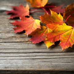 Autumn leaves on wooden background red yellow leaf with copy space for text space